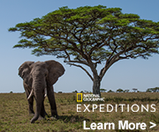 book Disney Expeditions